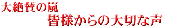 大絶賛の嵐 皆様からの大切な声